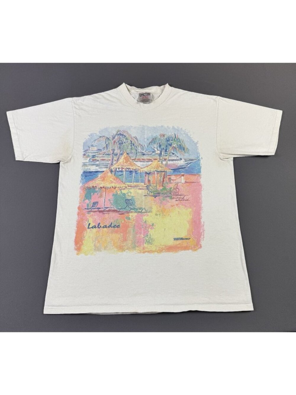 Rare Vintage 90s Richard Wallich Art Labadee Painting Shirt Oneita Large Promo